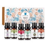 RAINBOW ABBY｜100% 純天然水果精油套裝組｜15瓶裝：圖片 24