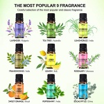 Natrogix 100% 純天然精油套裝組｜9瓶裝｜18瓶裝：圖片 10