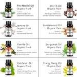 RAINBOW ABBY｜100% 純天然水果精油套裝組｜15瓶裝：圖片 27