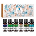 RAINBOW ABBY｜100% 純天然水果精油套裝組｜15瓶裝：圖片 16