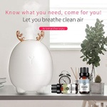 RAINBOW ABBY｜100% 純天然水果精油套裝組｜15瓶裝：圖片 28