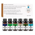 RAINBOW ABBY｜100% 純天然水果精油套裝組｜15瓶裝：圖片 17