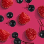 防彈品牌｜提升免疫力無糖軟糖｜覆盆子接骨木口味：圖片 5